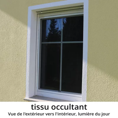 Fenêtre secrète Anthracite RAL 7016 | Verre dépoli