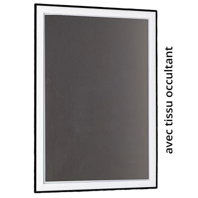 Fenêtre secrète Anthracite RAL 7016 | Verre dépoli