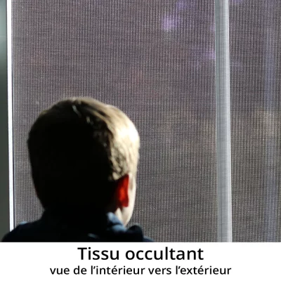 Fenêtre secrète Anthracite RAL 7016 | Verre dépoli