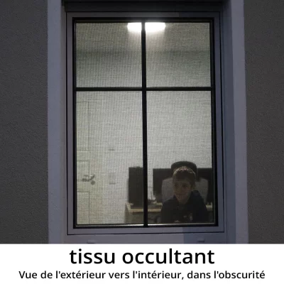 Fenêtre secrète Anthracite RAL 7016 | Verre dépoli