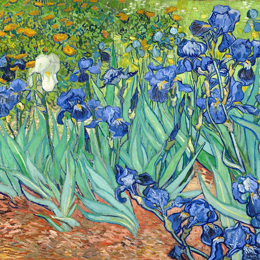 Artfilia Vincent van Gogh - Irises Variante 2 60x60 cm