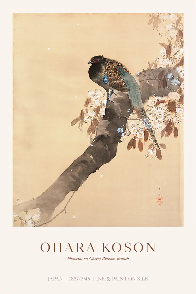 Artfilia Ohara Koson - Pheasant on cherry blossom branch Variante 1 30x45 cm