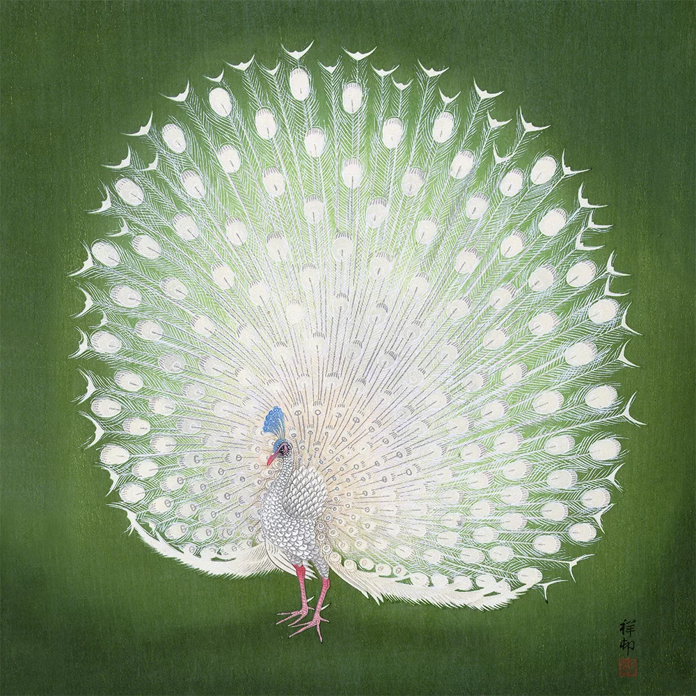 Artfilia Ohara Koson - Peacock Variante 2 40x40 cm