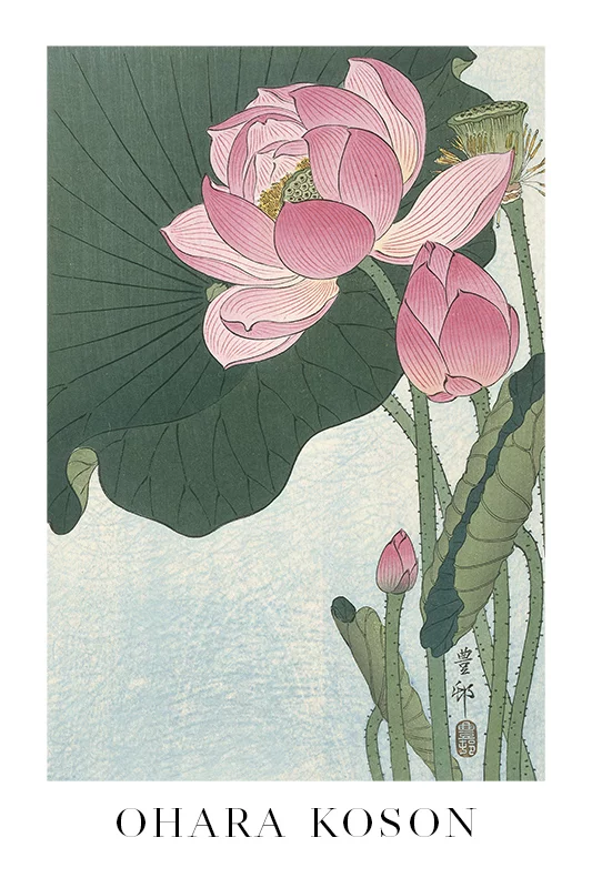 Artfilia Ohara Koson - Blooming Lotus Flowers Variante 2 13x18 cm