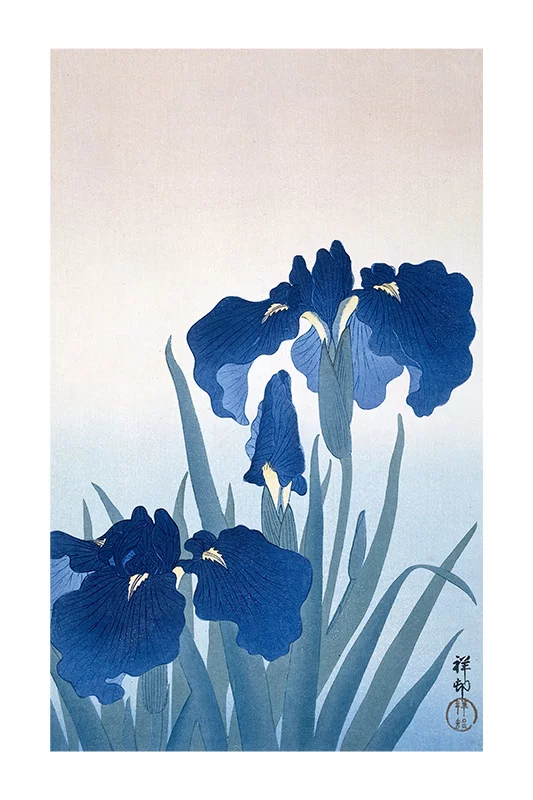Artfilia Ohara Koson - Irises Variante 3 60x90 cm