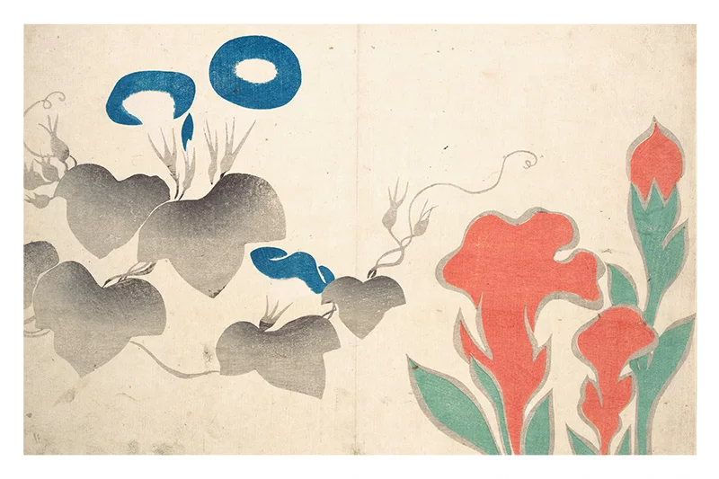 Artfilia Ogata Korin - Design of Morning-Glory and Other Flowers Variante 1 40x60 cm