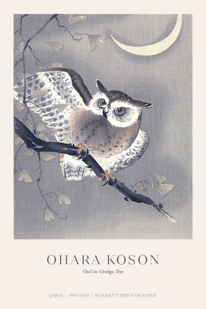 Artfilia Ohara Koson - Owl in Ginkgo Tree Variante 1 30x45 cm