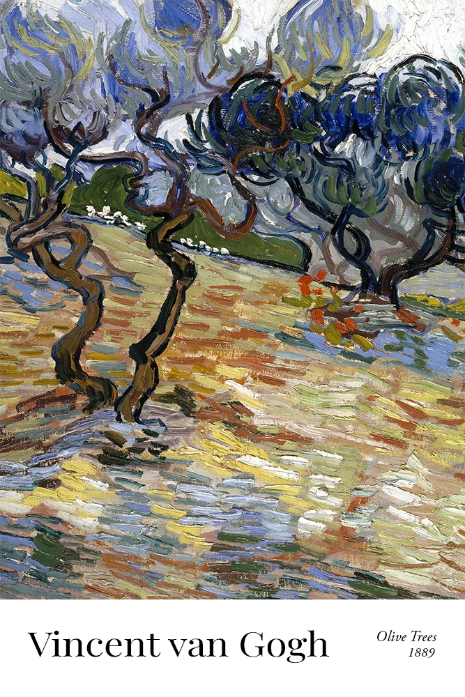Artfilia Vincent van Gogh - Olive Trees: Bright blue sky Variante 1 40x60 cm