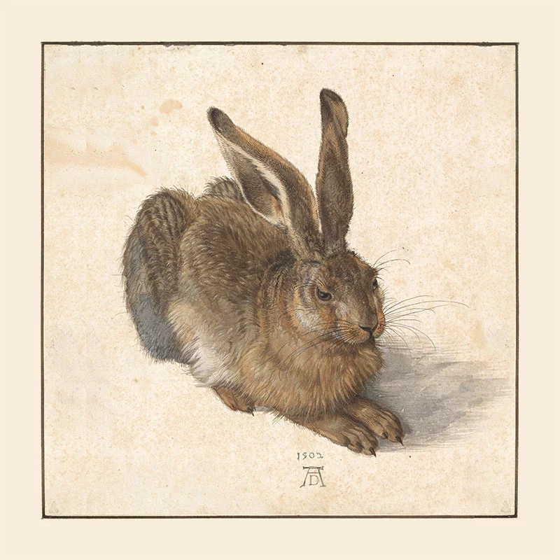 Artfilia Albrecht Dürer - Feldhase (Young Hare) Variante 1 60x60 cm