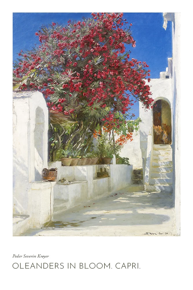 Artfilia Peder Severin Krøyer - Oleanders in bloom. Capri. Variante 2 30x45 cm