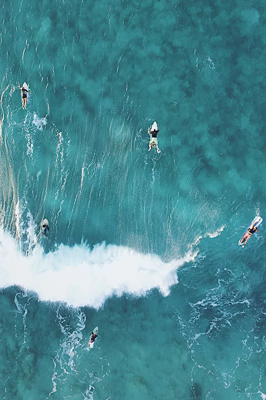 Artfilia Surf's Up Variante 1 20x30 cm