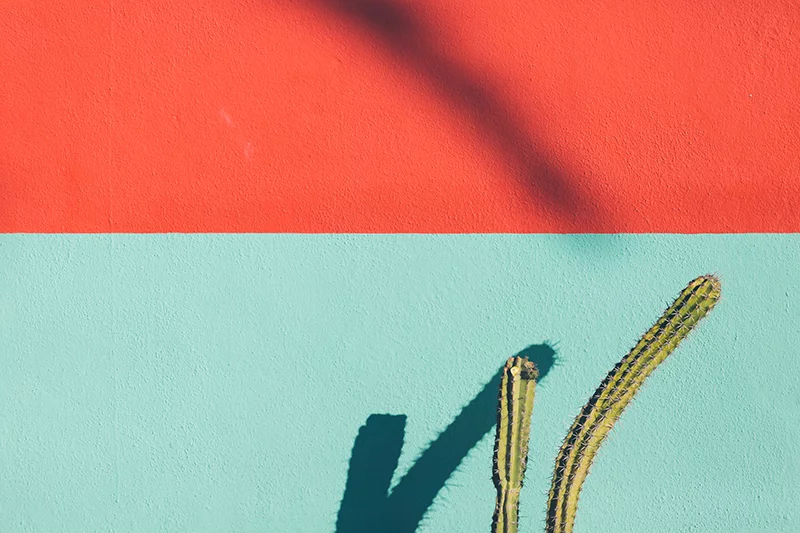 Artfilia Red and Green Cactus Variante 1 20x30 cm