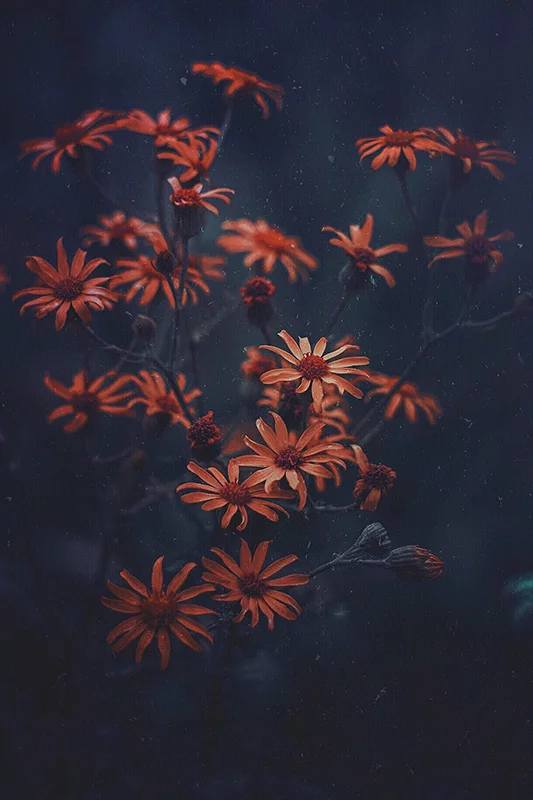 Artfilia Muted Flowers Variante 1 30x45 cm