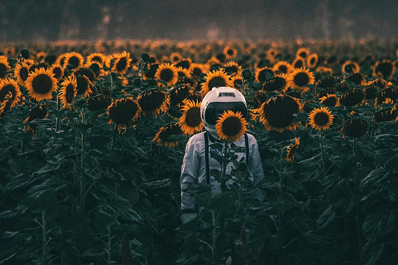 Artfilia Visit to Earth Variante 1 20x30 cm