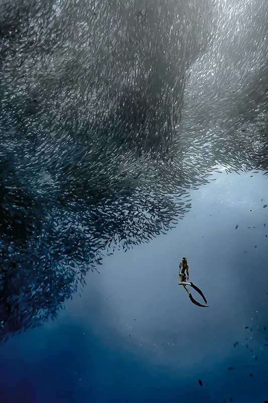 Artfilia The Diver Variante 1 30x45 cm