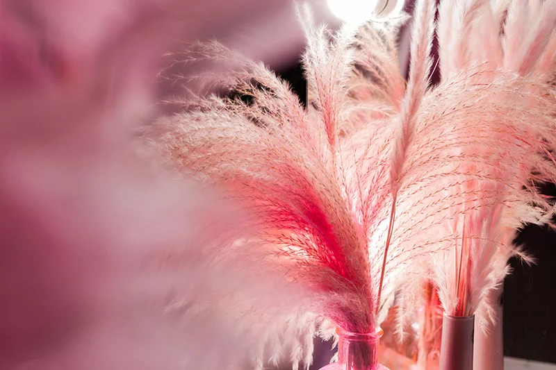 Artfilia Soft & Fluffy Variante 1 30x45 cm