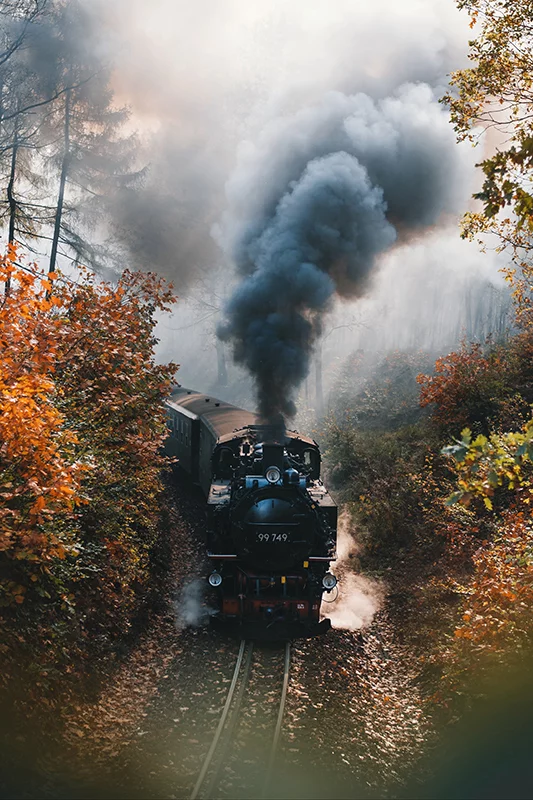 Artfilia Steam Locomotive Variante 1 40x60 cm