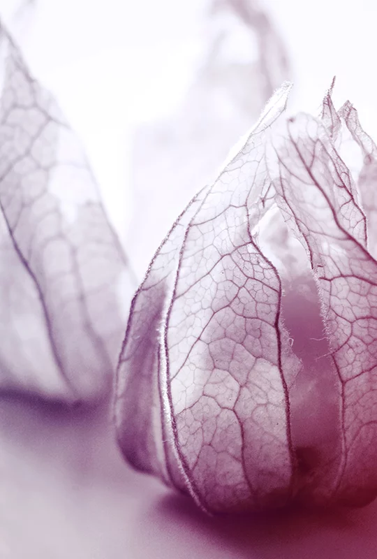 Artfilia Translucent Variante 1 20x30 cm