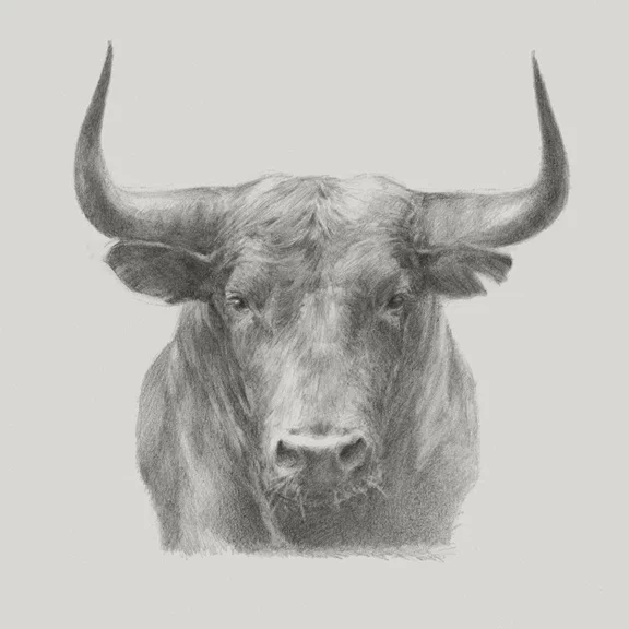 Artfilia Bull Sketch Variante 1 60x60 cm