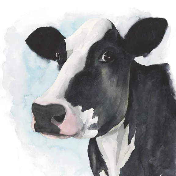 Artfilia Cow Close-Up No. 1 Variante 1 60x60 cm