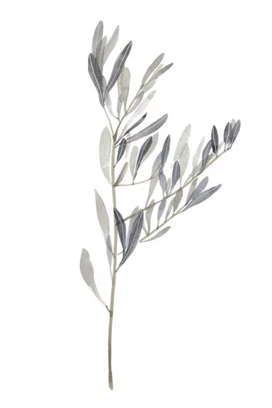 Artfilia Gentle Bough No. 2 Variante 1 13x18 cm