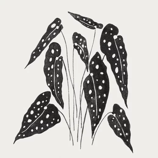 Artfilia Leafy Variante 1 60x60 cm