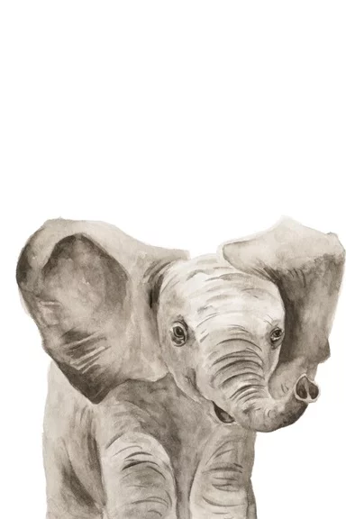 Artfilia Animal Babies No. 3 - Elephant Variante 1 30x45 cm