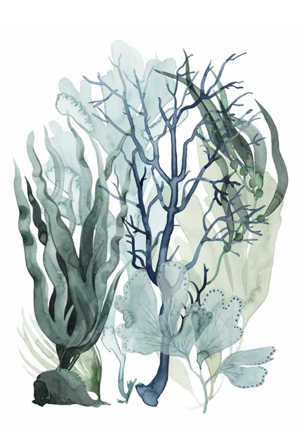 Artfilia Sea Grass Collection No. 5 Variante 1 13x18 cm