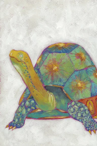 Artfilia Turtle No. 2 Variante 1 13x18 cm