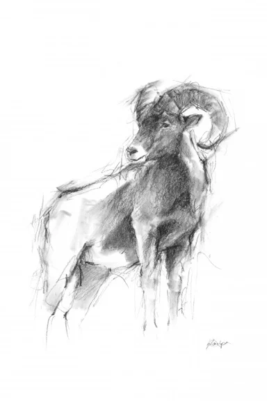 Artfilia Animal Sketch No. 3 Variante 1 60x90 cm
