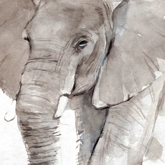 Artfilia The elephant Variante 1 60x60 cm