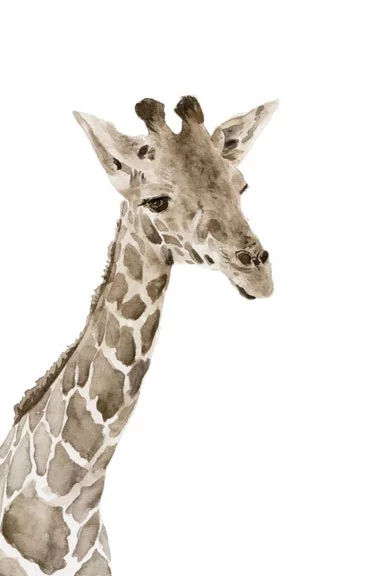 Artfilia Little zoo Giraffe Variante 1 20x30 cm