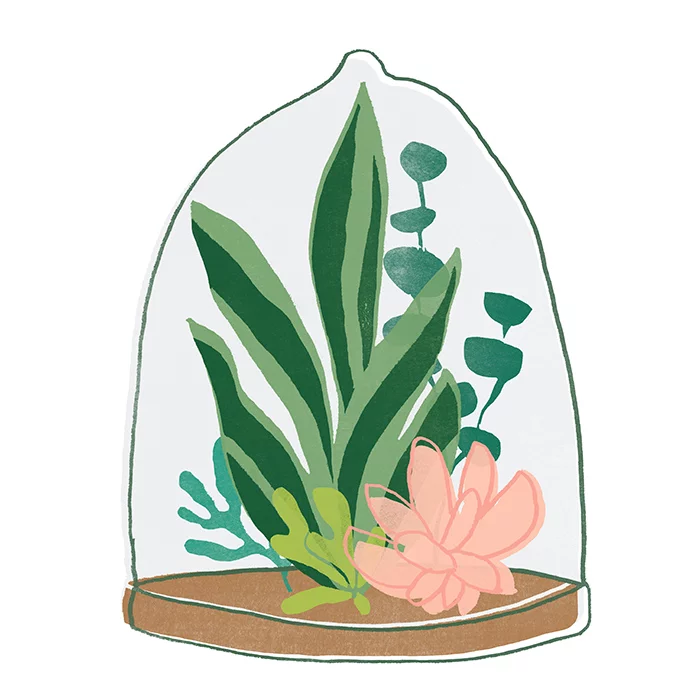 Artfilia Terrarium No. 5 Variante 1 40x40 cm
