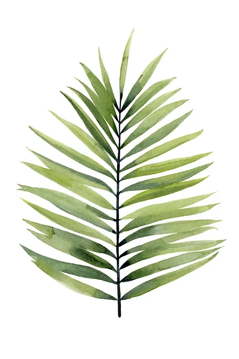 Artfilia Palm Zen Variante 1 13x18 cm