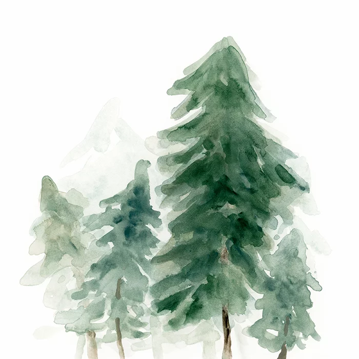 Artfilia The Firs Variante 1 60x60 cm
