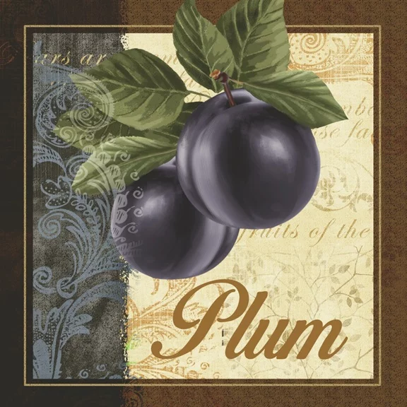 Artfilia Fruit Illustrated No. 4 Variante 1 40x40 cm