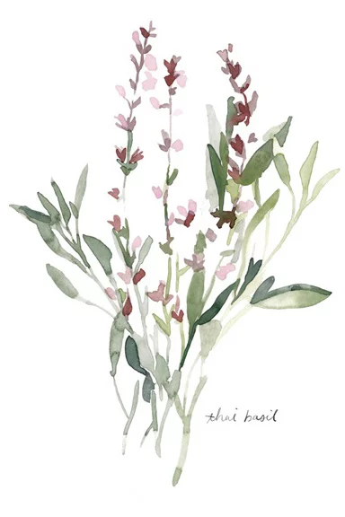 Artfilia Herbs Collection No. 5: Basil Variante 1 13x18 cm
