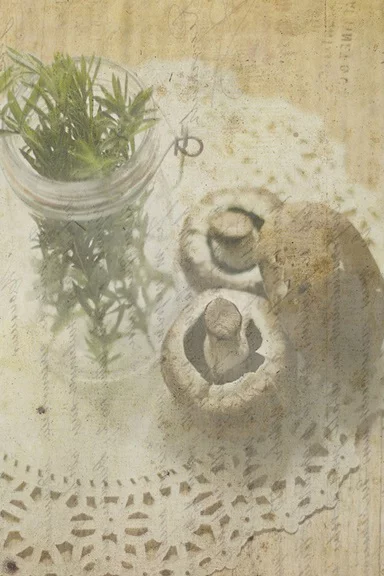 Artfilia Vintage Herbs No. 4 Variante 1 60x90 cm