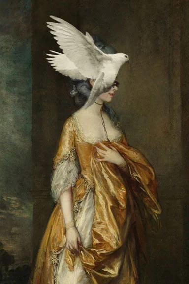 Artfilia Photobombing Doves No. 2 Variante 1 60x90 cm