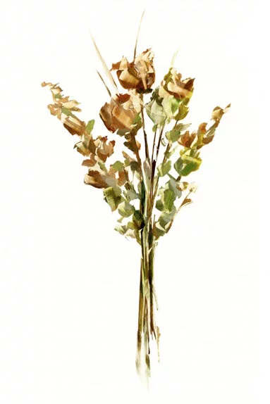 Artfilia Essence of Roses Variante 1 40x60 cm