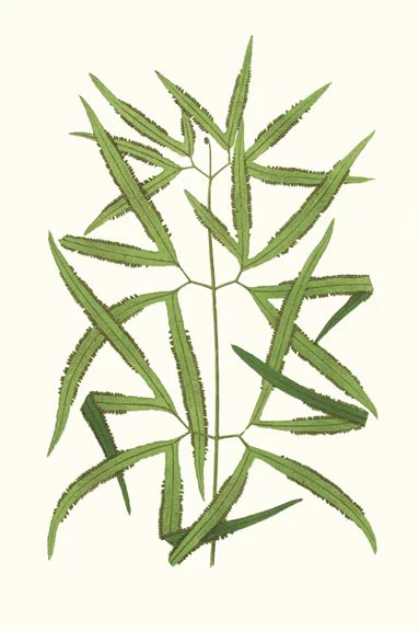 Artfilia Leaf Collection No. 5 Variante 1 13x18 cm