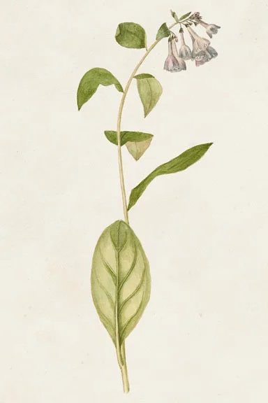 Artfilia Garden Flowers No. 3 Variante 1 20x30 cm