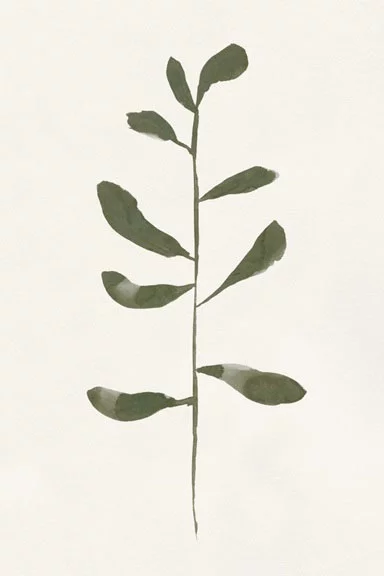 Artfilia Minimalist Stem Variante 1 40x60 cm