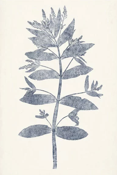 Artfilia Leaf Imprints No. 3 Variante 1 13x18 cm