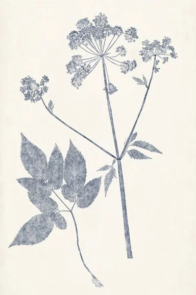 Artfilia Leaf Imprints No. 4 Variante 1 60x90 cm