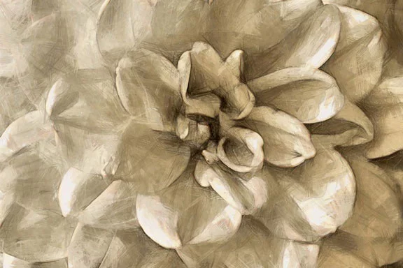 Artfilia Platin Florals No. 3 Variante 1 20x30 cm