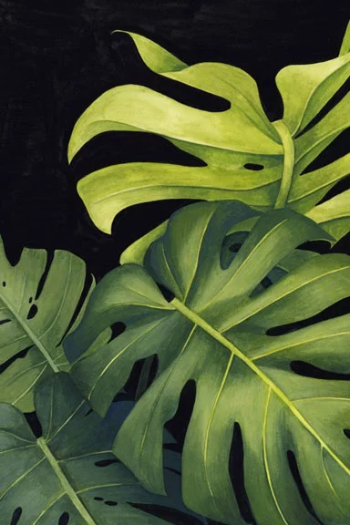 Artfilia Dark Monstera Variante 1 13x18 cm
