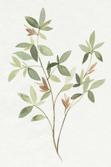 Artfilia Mediterranean Flair No. 1 Variante 1 20x30 cm