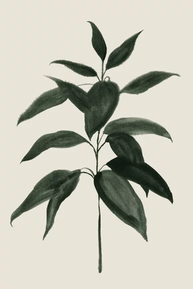 Artfilia Greenery Variante 1 40x60 cm