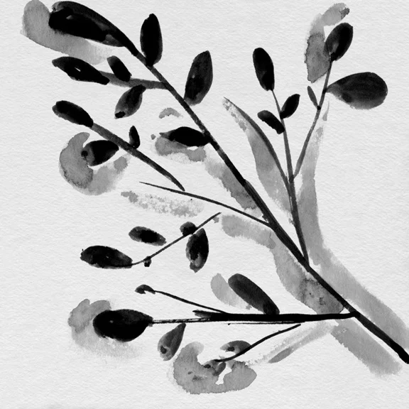 Artfilia Grayscale No. 2 Variante 1 40x40 cm